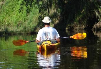 Raptor Kayak Paddle at Turkey Creek